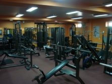 gymnasion-focus.jpg