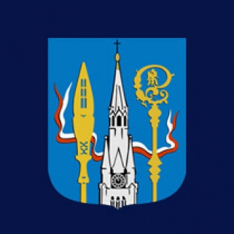 Realizacja energooszczędnego programu modernizacji systemu oświetlenia  ulicznego na terenie gminy Branice