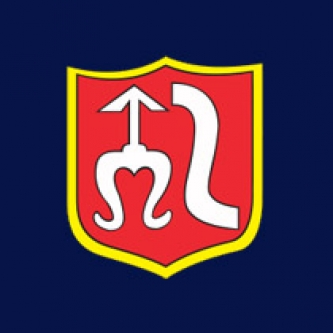 Wykonanie remontu oświetlenia ulicznego ul. Świętokrzyskiej  w Szydłowcu