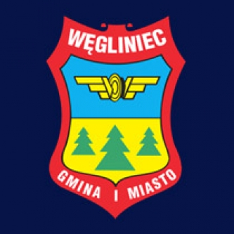 Remont , przebudowa i budowa systemu oświetlenia dróg i ulic na terenie Gminy i Miasta Węgliniec