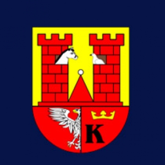 Wykonanie wymiany oświetlenia ulicznego na terenie miasta i gminy Włoszczowa